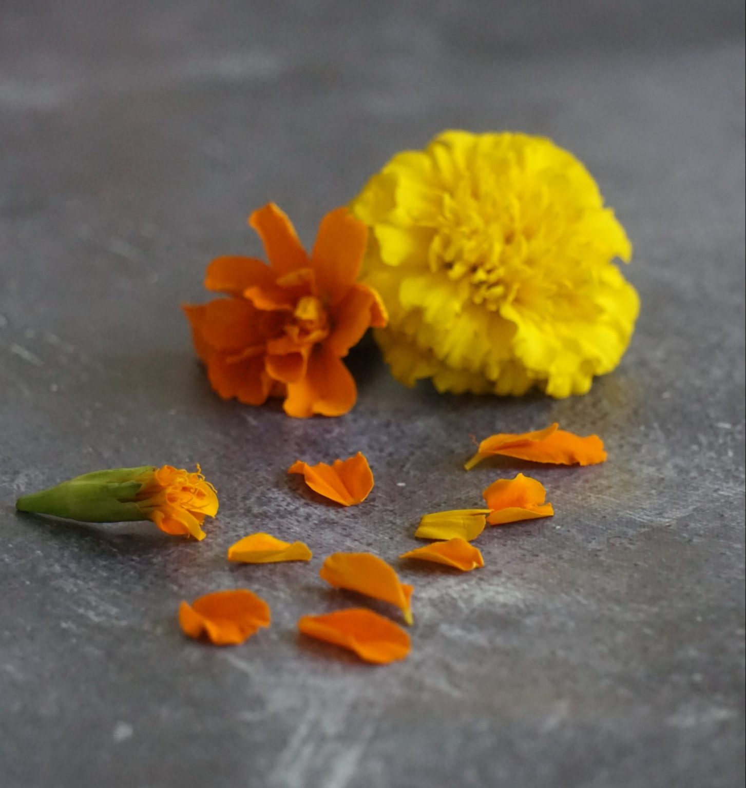 Easy Recipes Using Marigolds (Cempasuchil) For the Day of the Dead