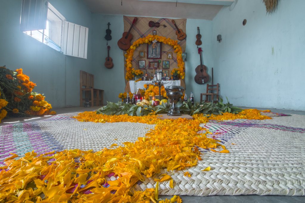 Using marigolds for petal pathways for Day of the Dead
