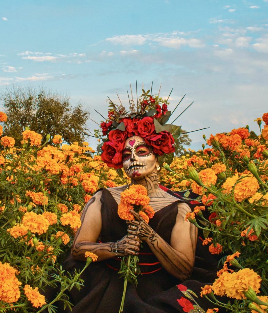 Cultural significance of marigolds for Day of the Dead