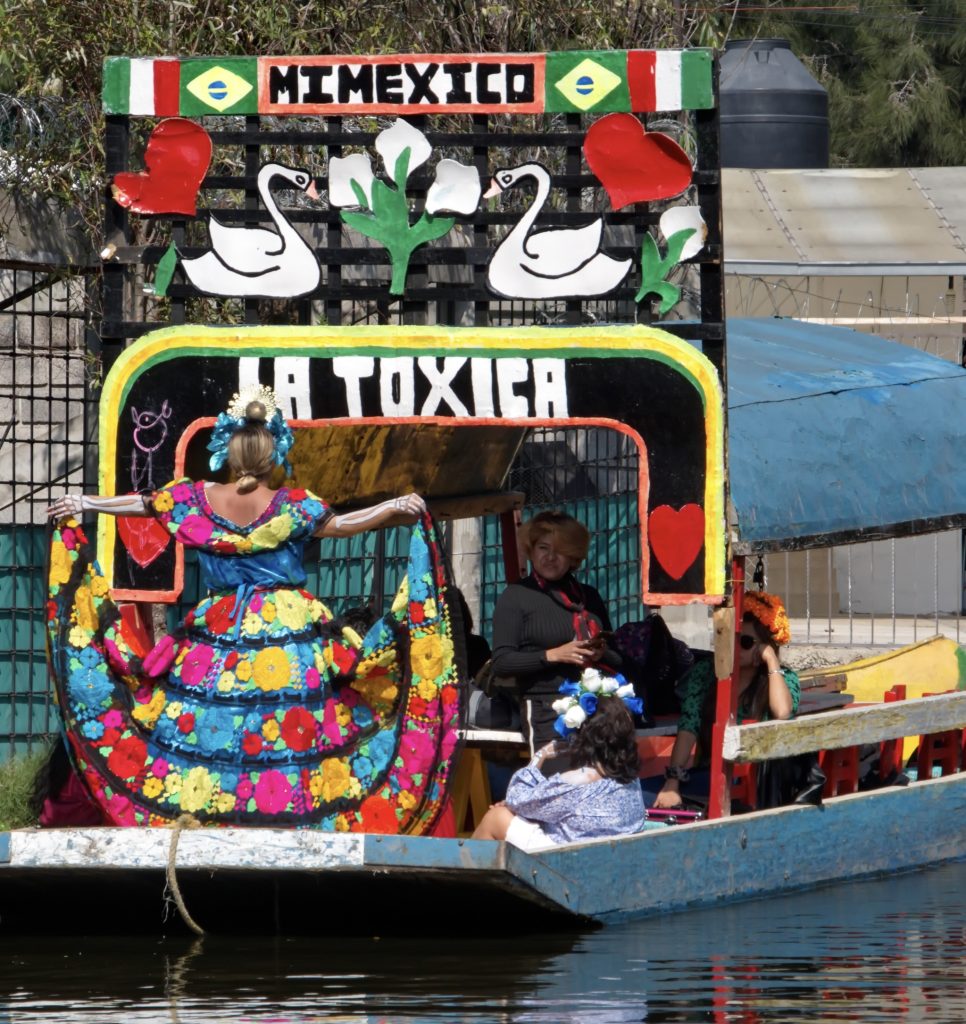 Xochimilco Day of the Dead Musical Dinner Tour 