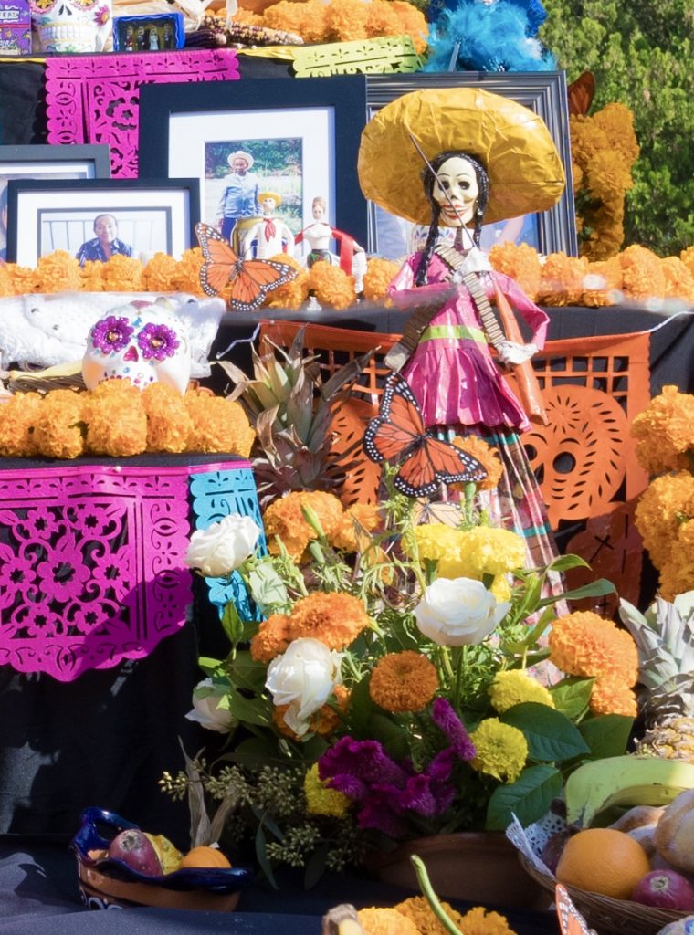 Day of the Dead flowers to add to your Día De Los Muertos ofrenda