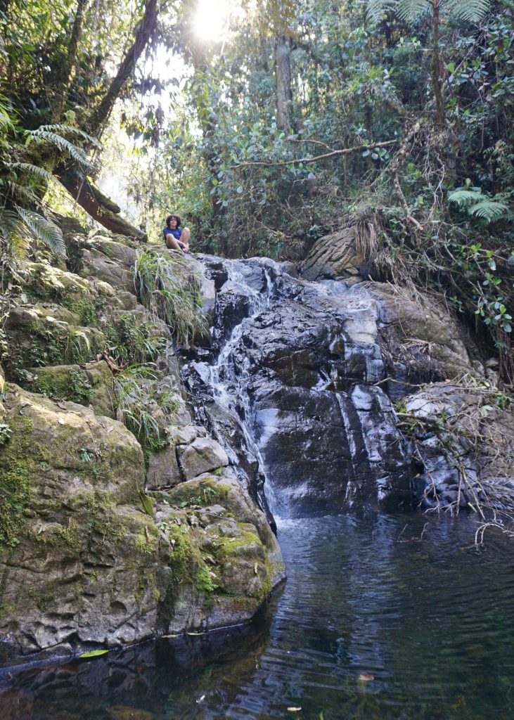 Ranchitos del Quetzal hiking trails