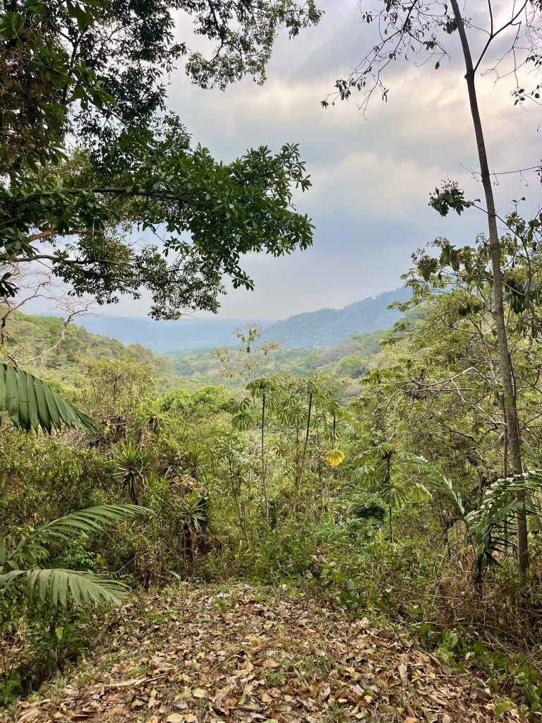 Viewpoint fro hike at Los Tarrales, Guatemala