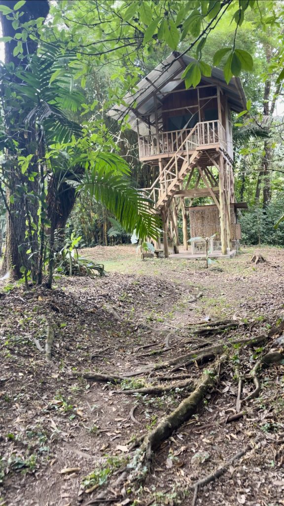 Tree house accommodations at Los Tarrales