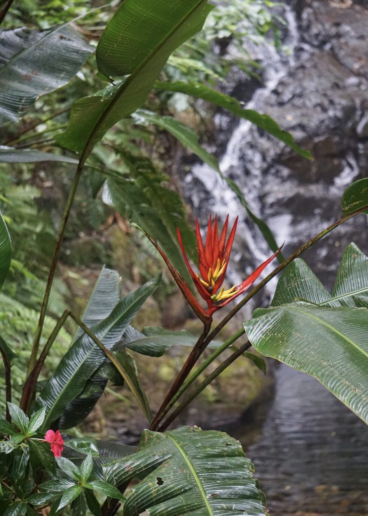 Tips for visiting Ranchitos del Quetzal in Baja Verapaz Guatemala