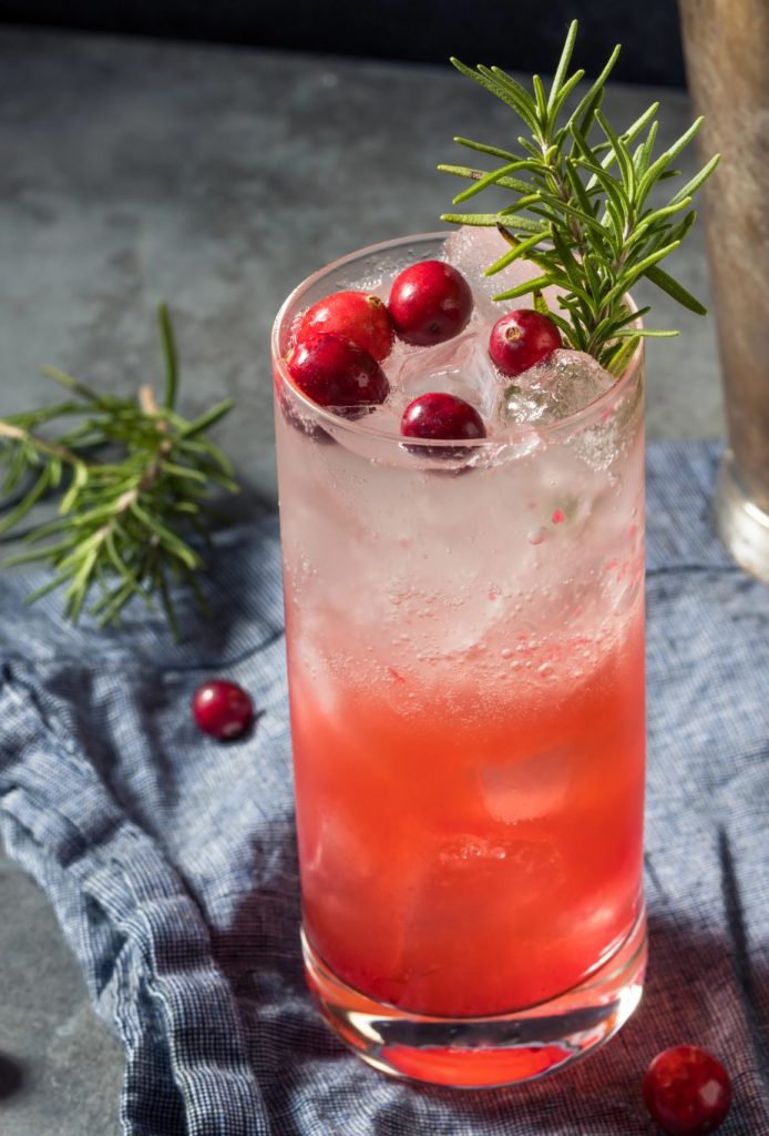 Cranberry gin fizz with fresh cranberries and rosemary garnish in a tall glass
