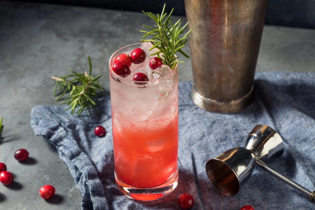 Cranberry gin fizz cocktail with rosemary sprig and fresh cranberries