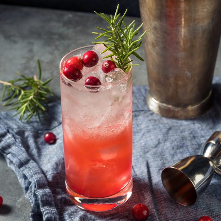 Cranberry Gin Fizz: A Festive Winter Cocktail