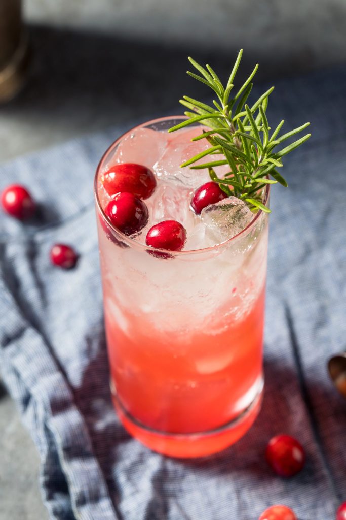 Cranberry gin fizz recipe with fresh cranberries and rosemary garnish in a tall glass