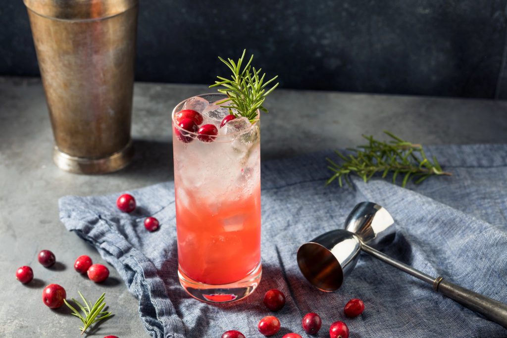 Cranberry gin fizz with bar tools and scattered cranberries