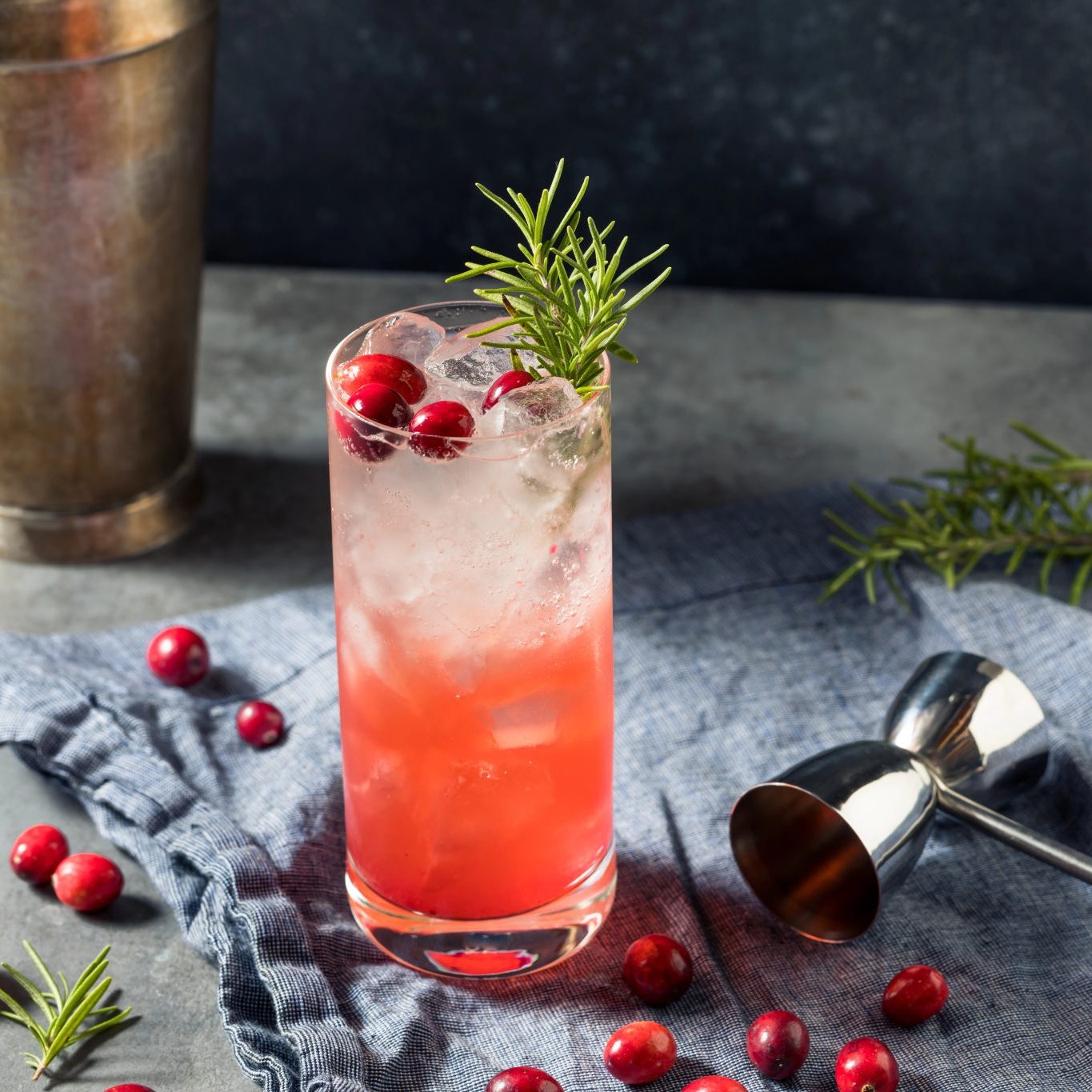 Cranberry cocktail with fresh cranberries and rosemary garnish in a tall glass