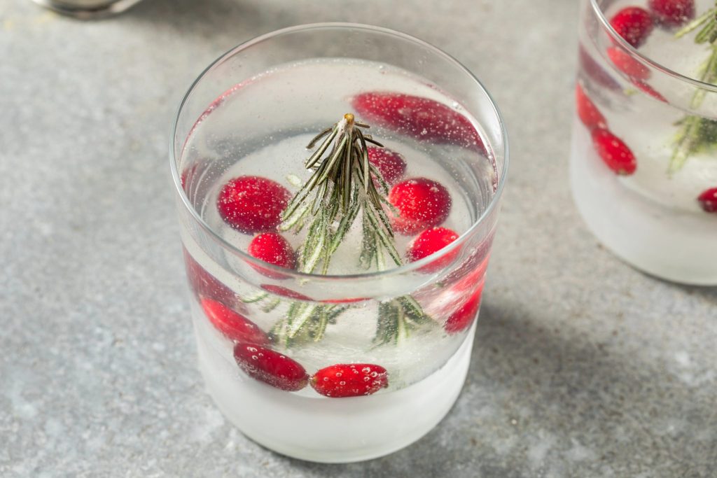 Snow globe cocktail made with a rosemary citrus frozen ice base, gin and tonic, and cranberries for a clear Christmas cocktail that slowly releases flavor as it melts