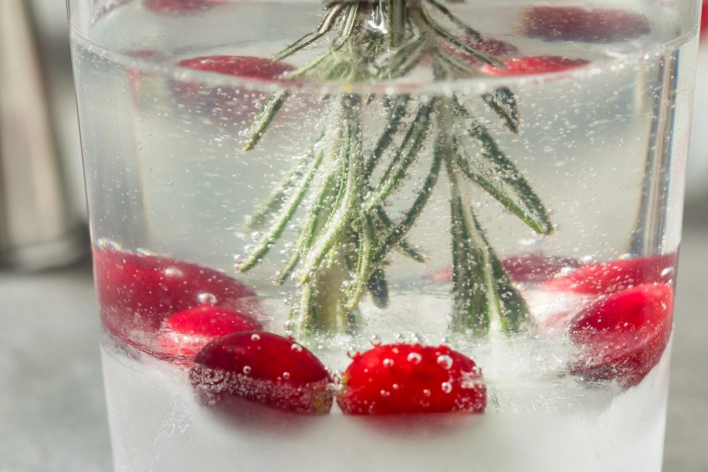 Holiday gin and tonic snow globe cocktail featuring clear ice infused with rosemary and citrus, fresh cranberries, and tonic for a festive Christmas cocktail
