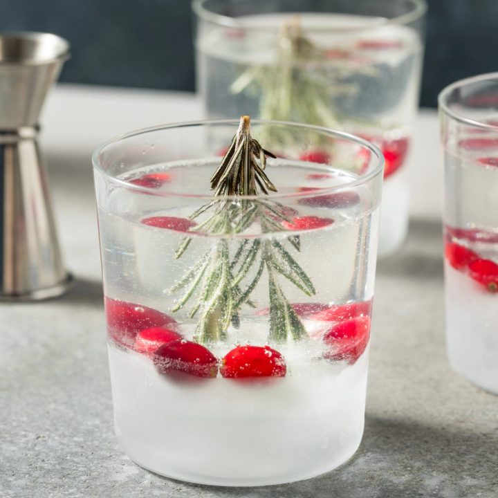 Snow globe cocktail recipe with rosemary citrus ice, cranberries, and gin and tonic, a clear holiday cocktail perfect for Christmas parties