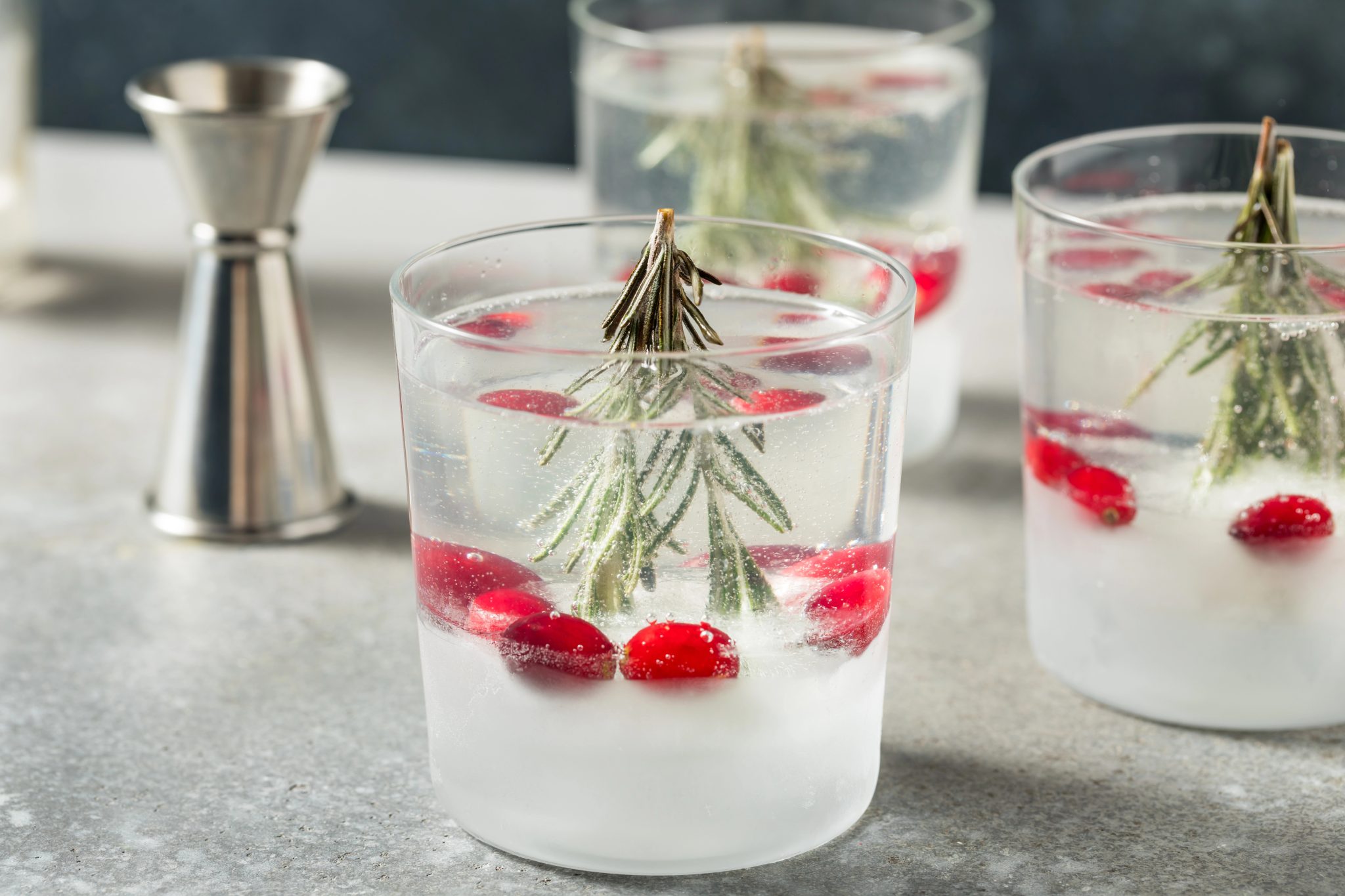 Snow globe cocktail recipe with rosemary citrus ice, cranberries, and gin and tonic, a clear holiday cocktail perfect for Christmas parties