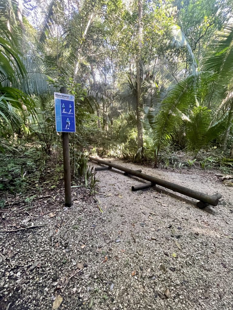 Outdoor fitness station on the jungle trail at Villa Maya hotel in Petén Guatemala, with a Monkey Fit Trail exercise sign and wooden parallel bars set among tropical palms and dense rainforest