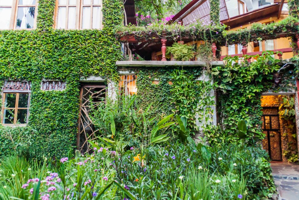 Green ivy-covered exterior of Lush Hotel in San Marcos La Laguna Guatemala