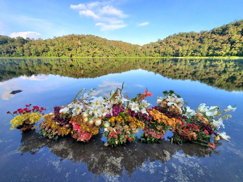 Sacred flowers floating on Laguna de Chicabal during a traditional Mayan ceremony in Guatemala