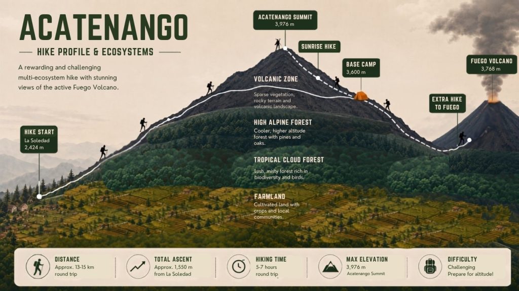 Infographic showing the Acatenango hike elevation profile from La Soledad trailhead through farmland, cloud forest, high alpine forest, and volcanic zone to the 3,976 meter summit, with Fuego volcano visible nearby