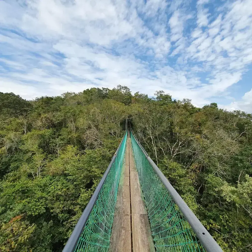 Ixpanpajul Natural Park in Guatemala