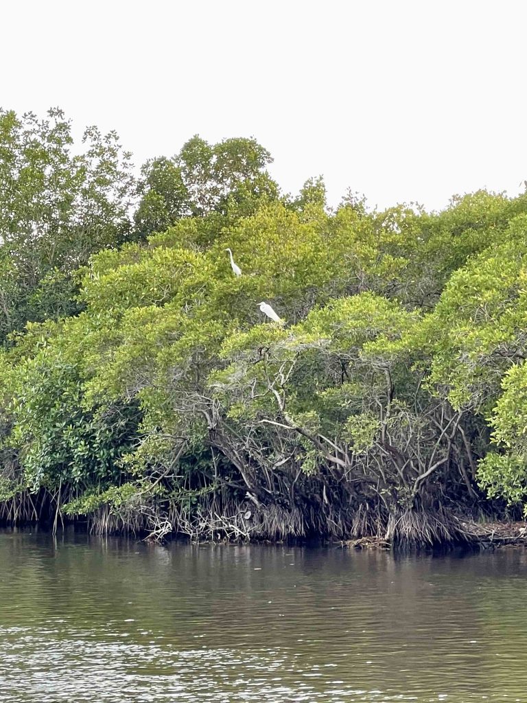 Reserva Natural Monterrico Hawaii Guatemala