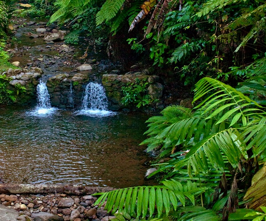 Reserva Natural Privada El Patrocinio