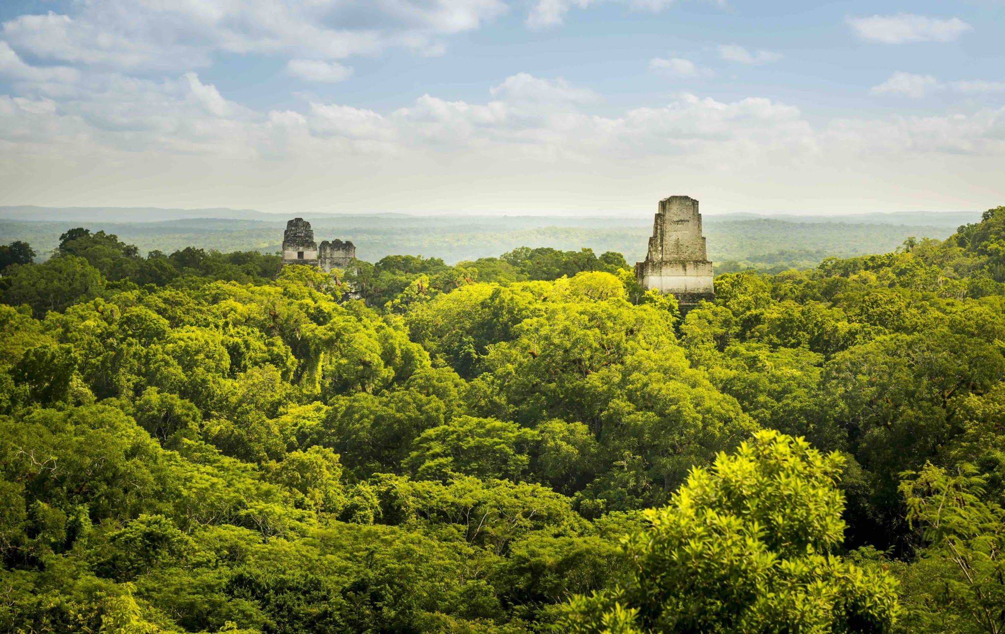Tikal National Park