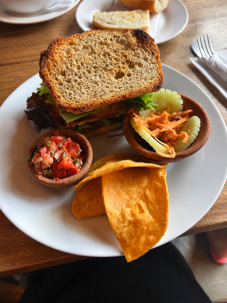 Gluten-free sandwich on toasted bread with pico de gallo and cucumber salad at Rainbow Café Antigua Guatemala