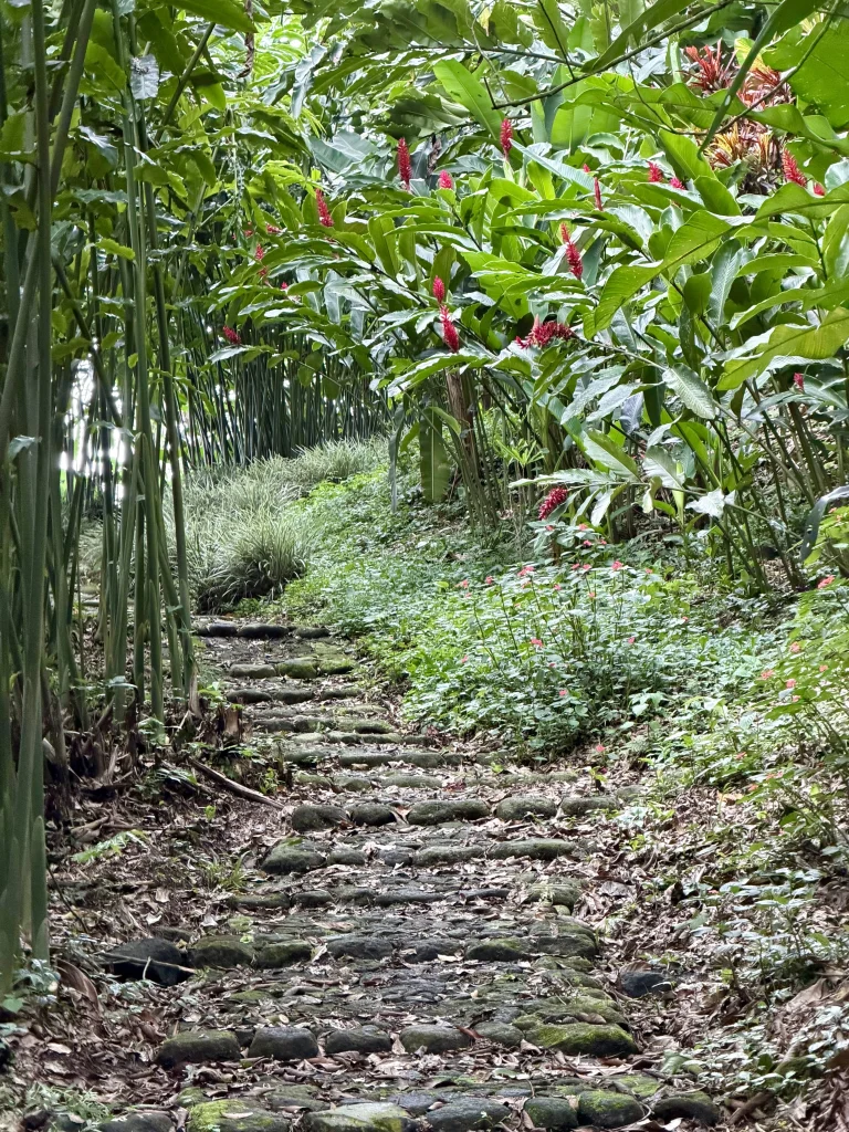 Stone hiking trail winding through lush tropical plants and red ginger flowers at Reserva Patrocinio nature reserve in Guatemala