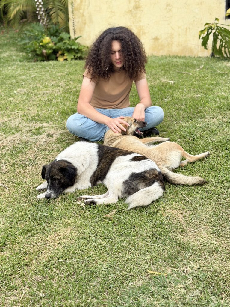 Family-friendly Airbnb near Santiago Atitlán with friendly dogs and gardens at Orilla Casas en Ati Lake Atitlán
