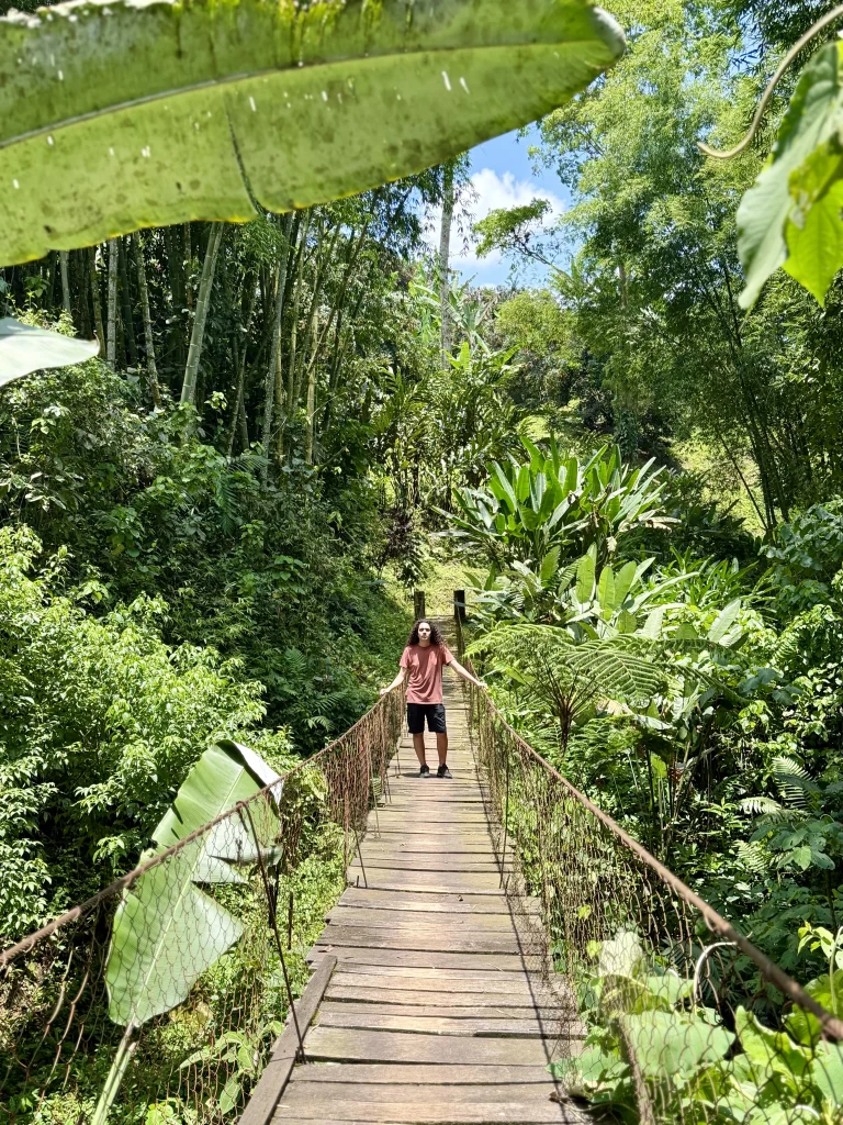 Suspension bridge crossing lush subtropical forest at Reserva Patrocinio, one of Guatemala’s private nature reserves