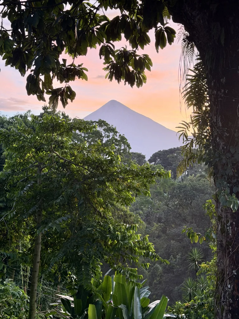 Santiaguito and Santa María volcano views framed by tropical forest at sunset from Reserva Patrocinio Guatemala