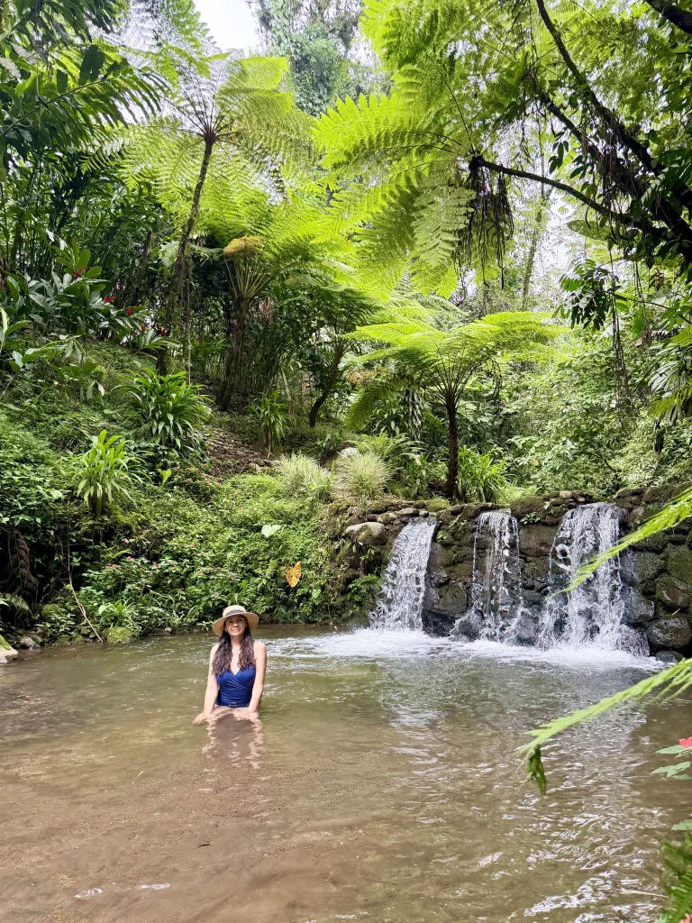 Natural waterfall and swimming pool surrounded by giant ferns at Reserva Patrocinio nature reserve in Guatemala