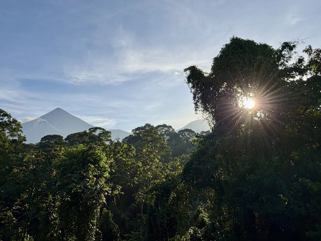 Early morning sun shining through the forest with Santiaguito and Santa María volcanoes visible from Reserva Patrocinio Guatemala