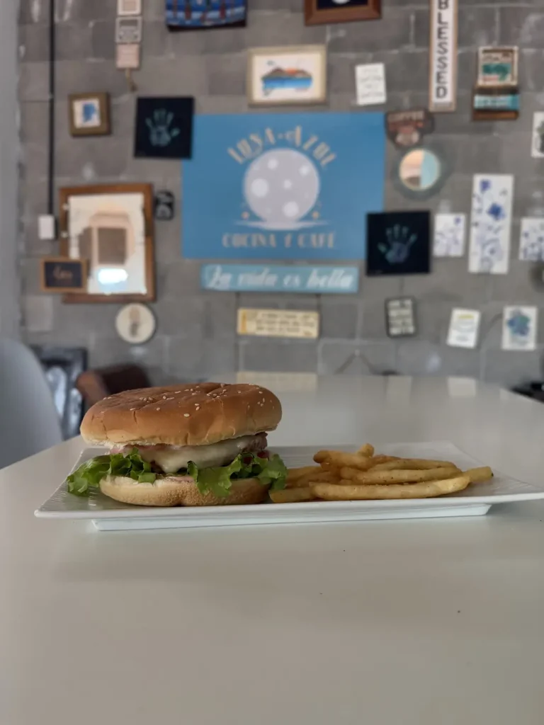 Burger and fries at Luna Azul Cafe in San Lucas Tolimán Guatemala